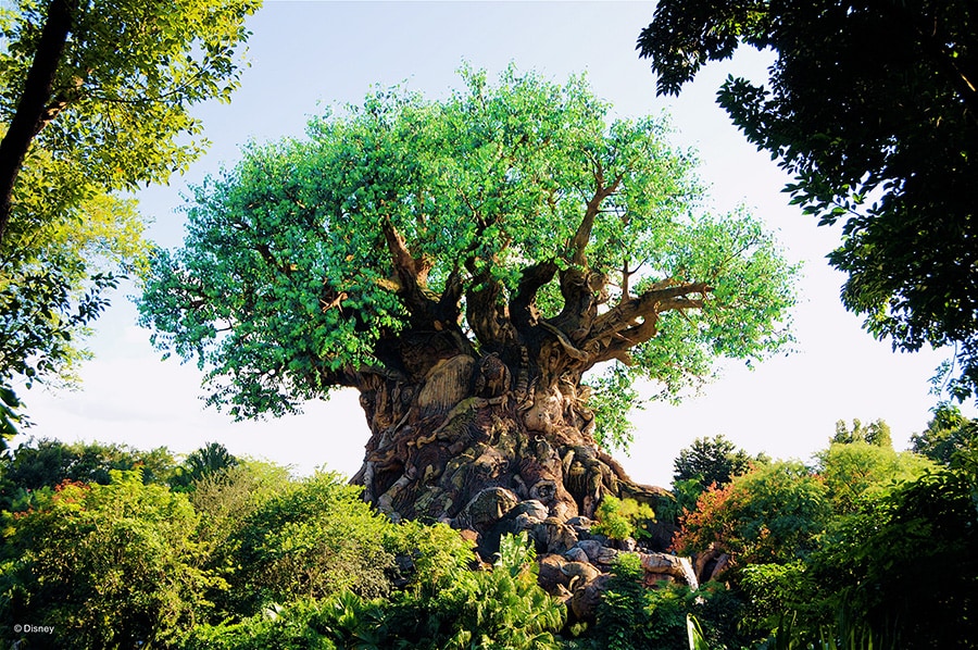 Vintage Walt Disney World: Tree of Life | Disney Parks Blog