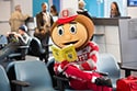 Who Will Win the College Football Playoffs and go to Walt Disney World Resort?