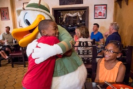 Donald Duck Dressed in his Safari Best at Tusker House Restaurant at Disney’s Animal Kingdom