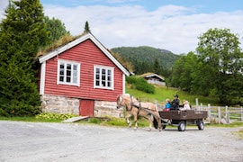 Visit Iconic Fjord Horses in Olden with Disney Cruise Line