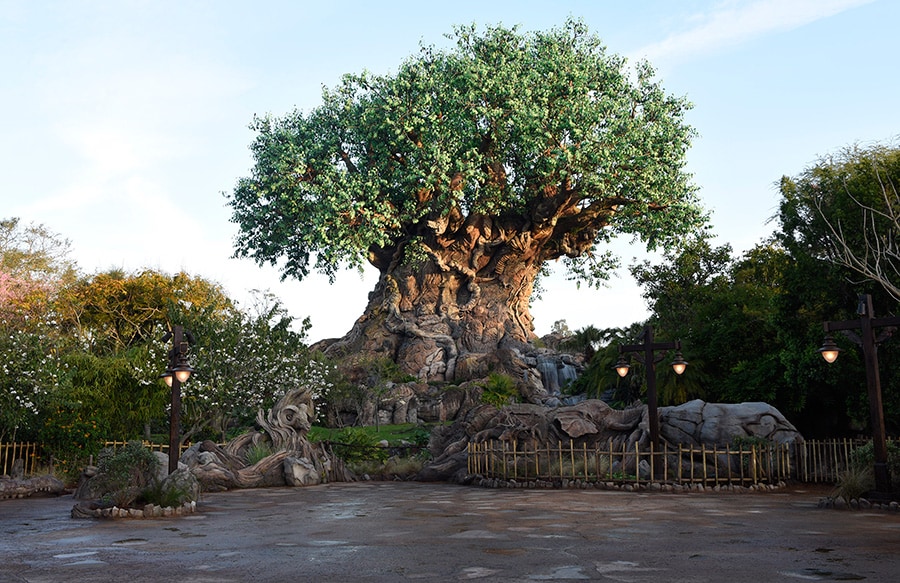 Tree of Life Grows New Roots at Disney's Animal Kingdom | Disney Parks Blog