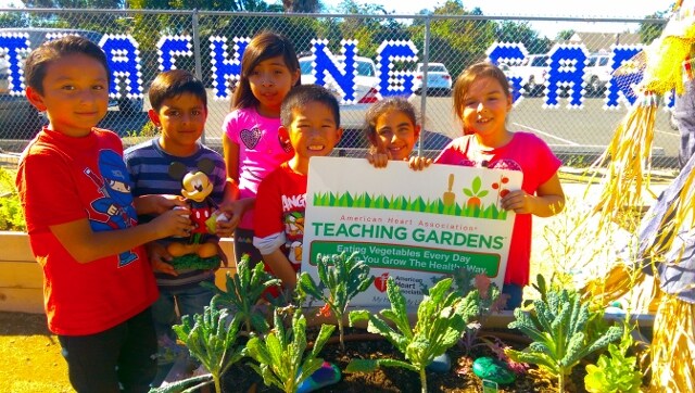 Students Harvest First Crop from Walt Disney Elementary School Teaching Garden Funded By Disneyland Resort