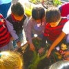 Students Harvest First Crop from Walt Disney Elementary School Teaching Garden Funded By Disneyland Resort