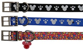 Fetch New Disney Tails Pet Products This Spring at Disney Parks