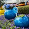 Amazing Container Gardens Seen at Walt Disney World Resort