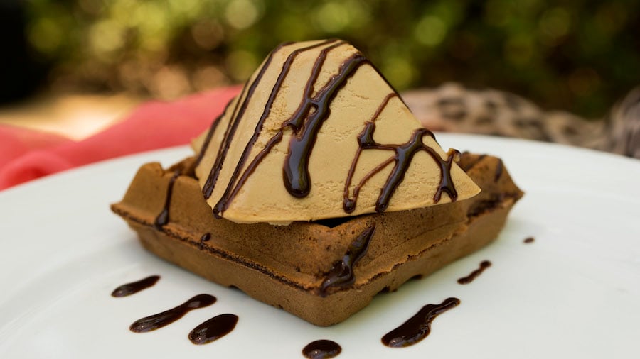 Chocolate Waffle with Espresso Mousse from Tamu Tamu Refreshments at Disney’s Animal Kingdom