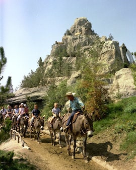 Pack Mules Through Nature’s Wonderland at Disneyland Park