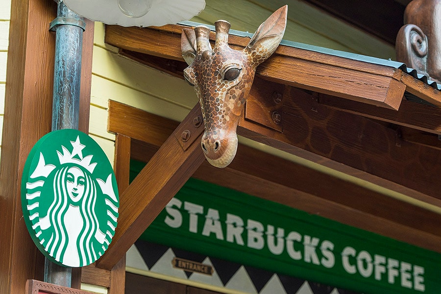 Disney's Animal Kingdom's Starbucks Opens, Flat White Lattes To