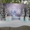 Visiting Ice Palace Boutique at Disney’s Hollywood Studios for Frozen Summer Fun