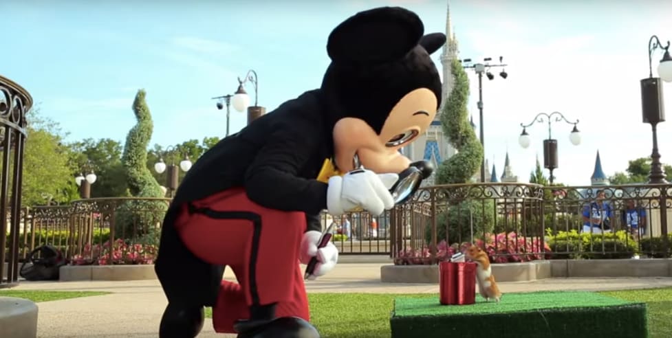 Watch As Tiny Hamster Has A Big Adventure At Walt Disney World Resort Disney Parks Blog