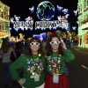 500 Disney Parks Blog Readers Enjoy Osborne Family Spectacle of Dancing Lights