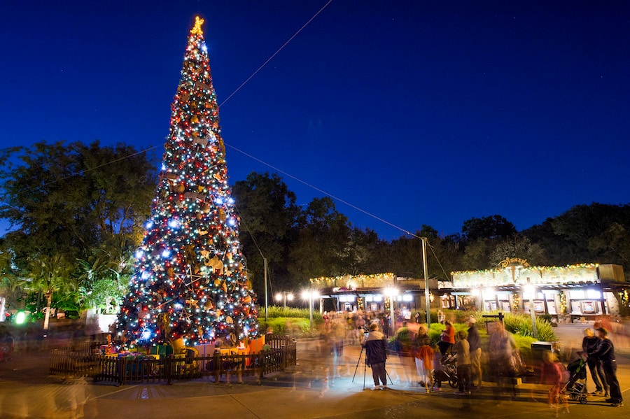 Behold the Beautiful Christmas Trees Across Walt Disney World Resort |  Disney Parks Blog