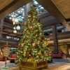 Christmas Tree at Disney’s Polynesian Village Resort