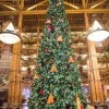 Christmas Tree at Disney’s Wilderness Lodge