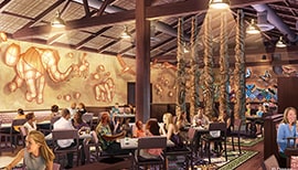 Tiffins Restaurant Coming to Disney's Animal Kingdom