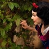 Snow White from Disney’s ‘Snow White and the Seven Dwarfs’