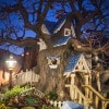 Disney Parks After Dark: After the Mickey Mouse and Friends Say ‘Good Night’ at Disneyland Park