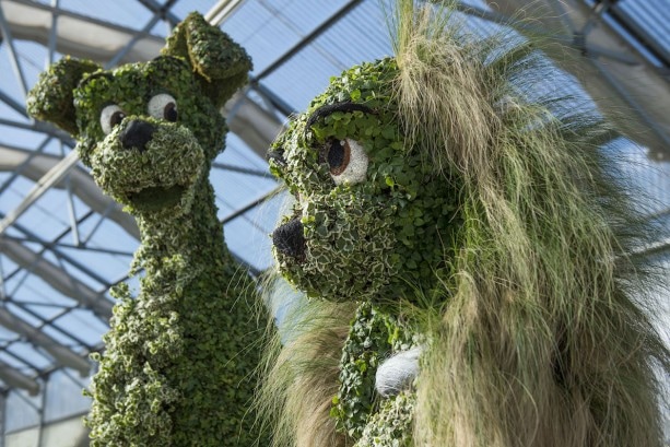 Lady and the Tramp in Topiary Form for the 2016 Epcot International Flower & Garden Festival