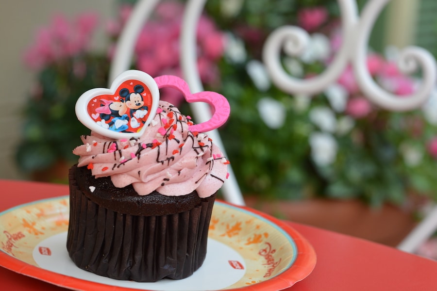 Chocolate Raspberry Cupcake from Main Street Bakery at Magic Kingdom Park
