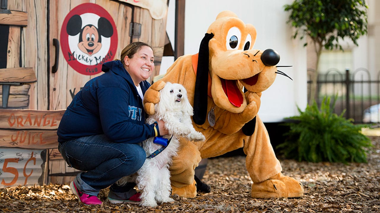 Walt Disney World Dogs Pack Shows Its Love of Paws