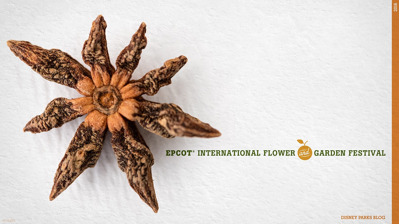 Epcot International Flower & Garden Festival Wallpapers Version 3