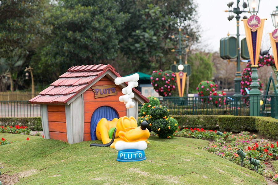Pluto in the Mickey and Friends Springtime Garden at Hong Kong Disneyland