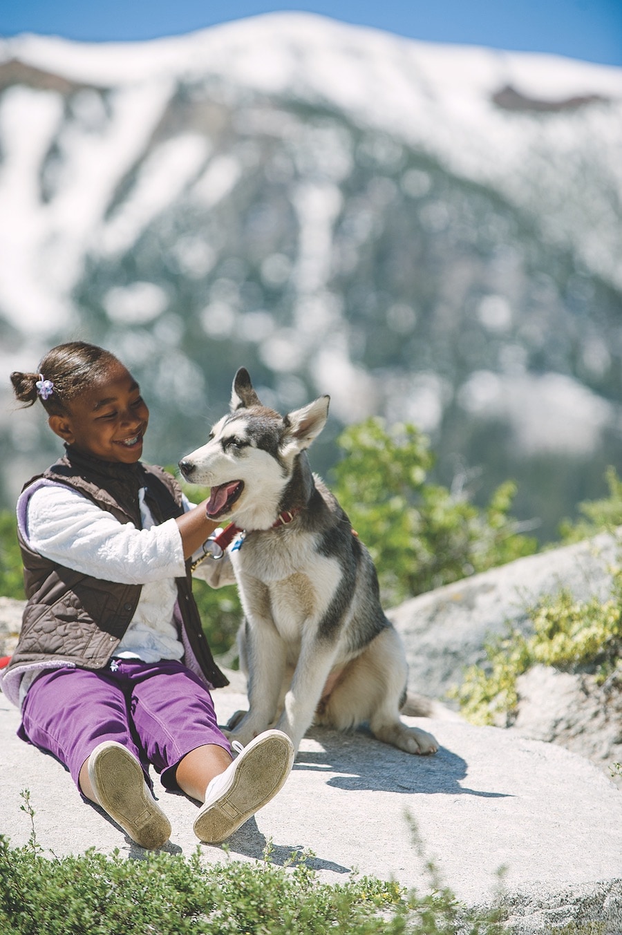 Get up close with a Husky on the Adventures by Disney Alaska vacation