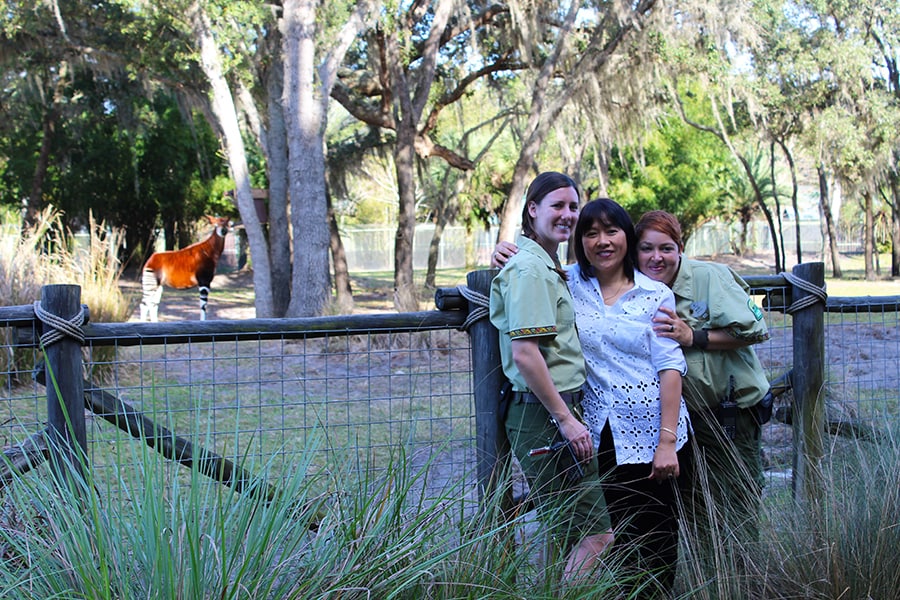 Ashley, Elaine and Mori (Left to Right) Worked Together to Help Comfort Okapi Zelda