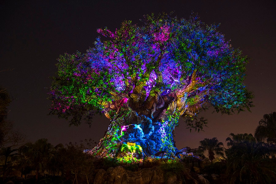 Disney’s Animal Kingdom Awakens At Night With Harambe Wildlife Parti, Discovery Island Carnivale & More Starting Memorial Day Weekend
