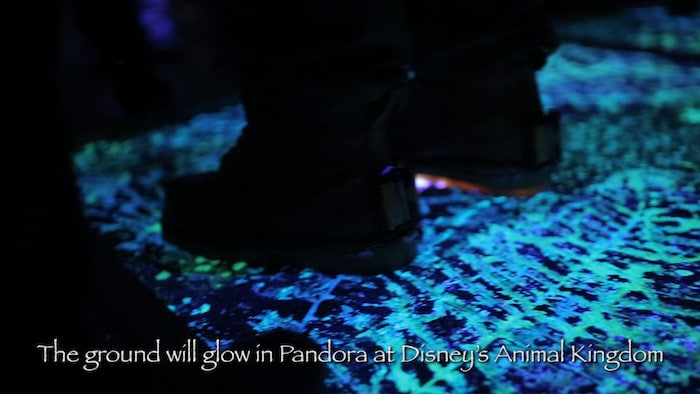 'Glowing' Ground Coming to Pandora – The World of AVATAR at Disney’s Animal Kingdom