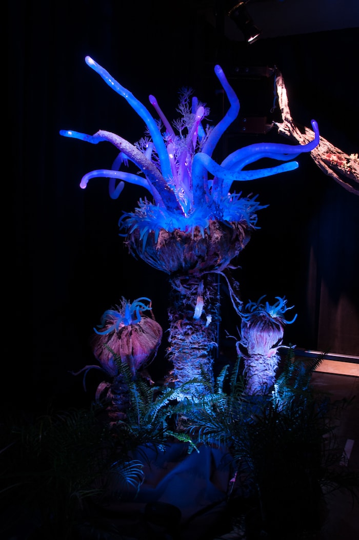 Bioluminescent Flora Details Coming to Pandora – The World of AVATAR at Disney’s Animal Kingdom