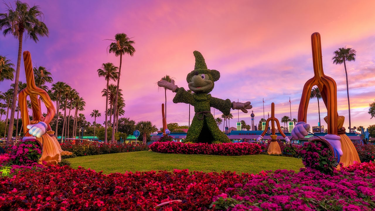 Disney Parks After Dark: Mickey Topiary at Disney’s Hollywood Studios