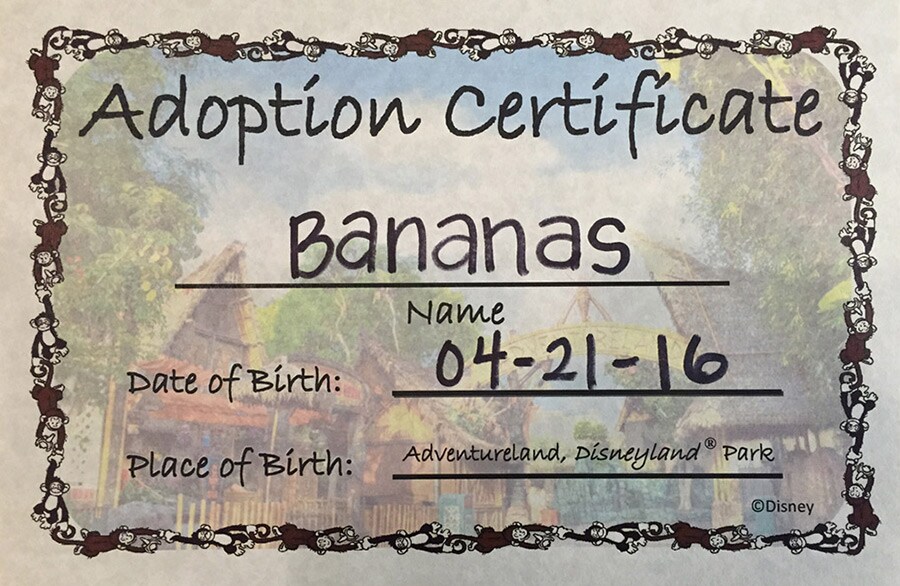 Adventurland Adoption Certificate at Adventureland at Disneyland park