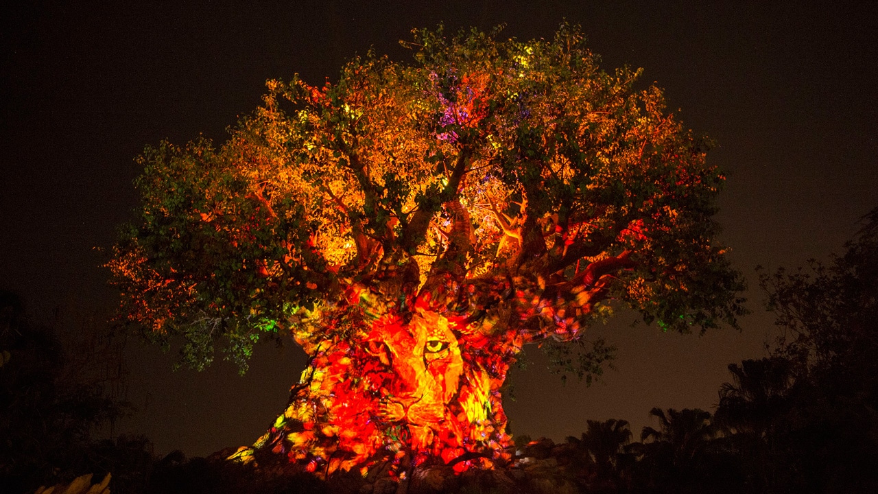 First-Ever Night Experiences at Disney's Animal Kingdom Begin May 27 |  Disney Parks Blog
