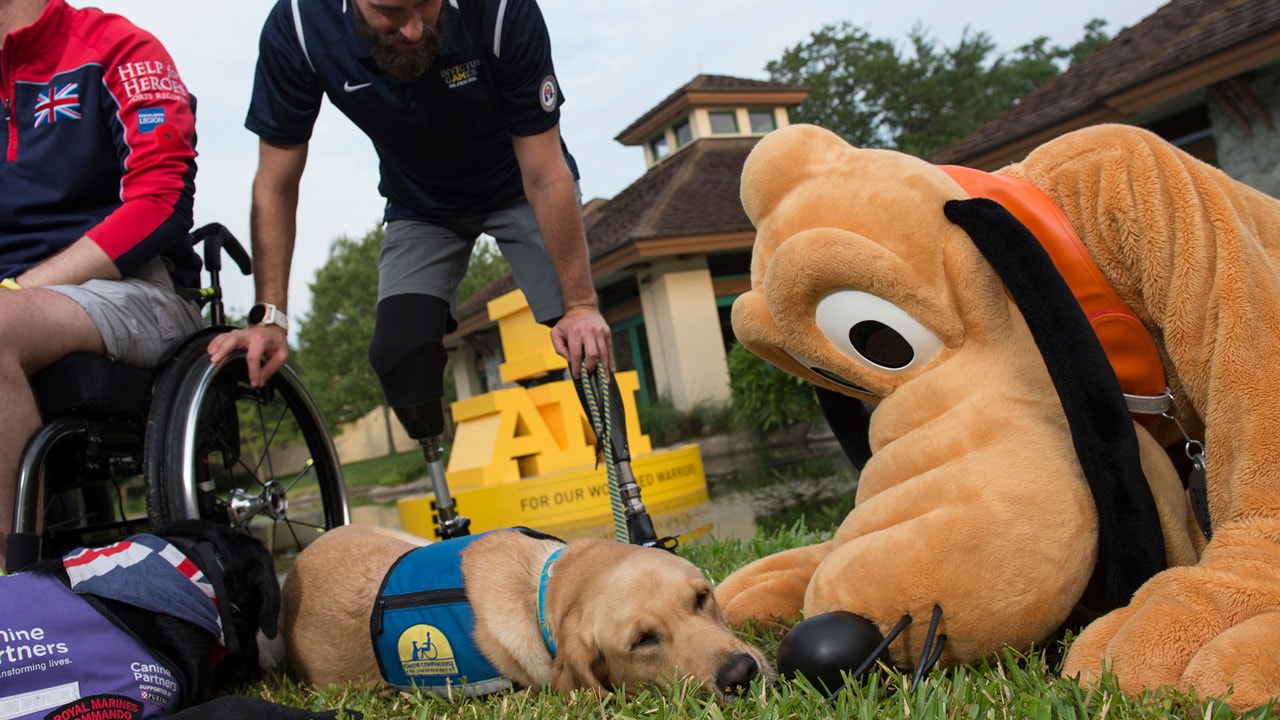 Pluto nose-to-nose on the ground with a pup at the Invictus Games