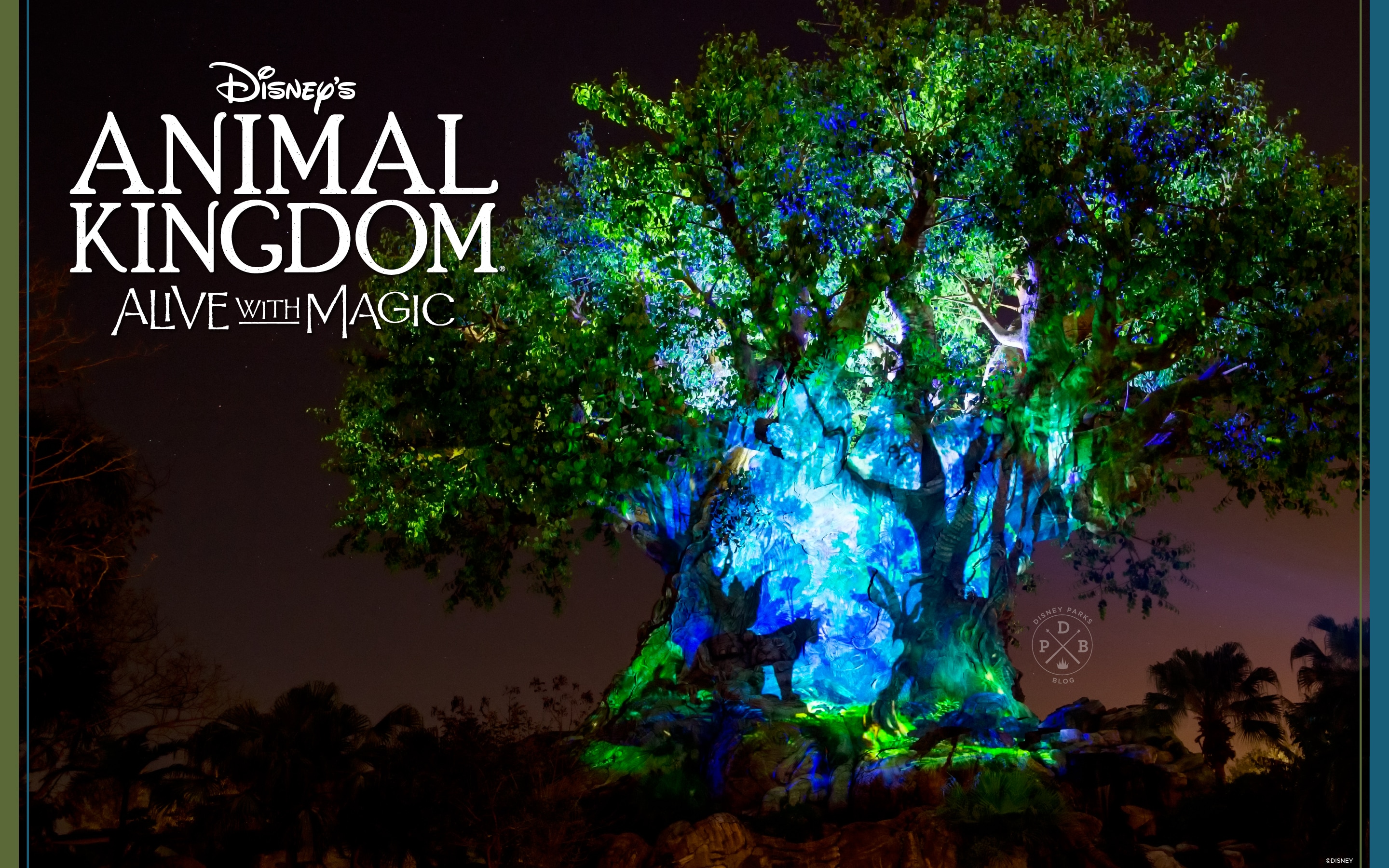 Disney’s Animal Kingdom ‘Nighttime’-Inspired Wallpaper – Desktop