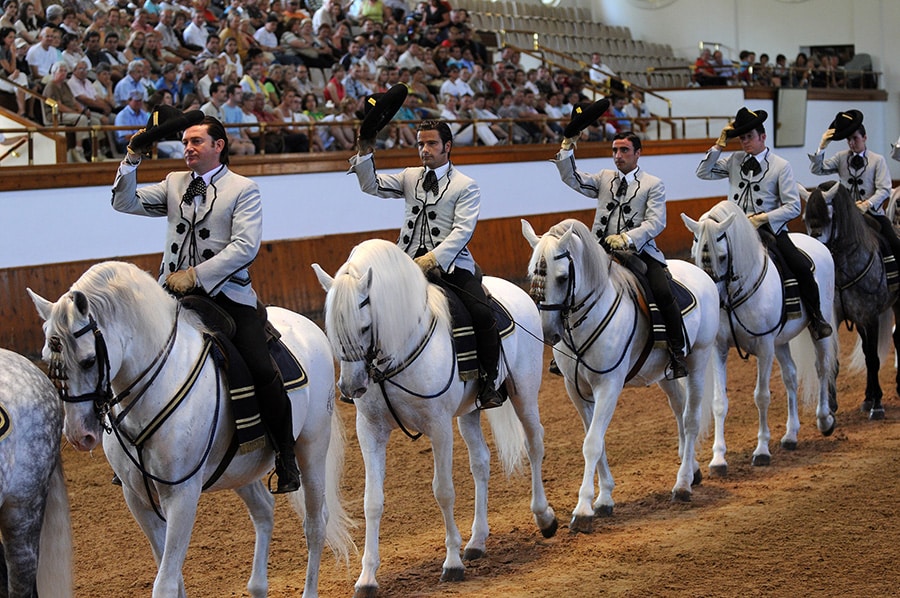 Andalusian Horse Show - Port Adventure with Disney Cruise Line