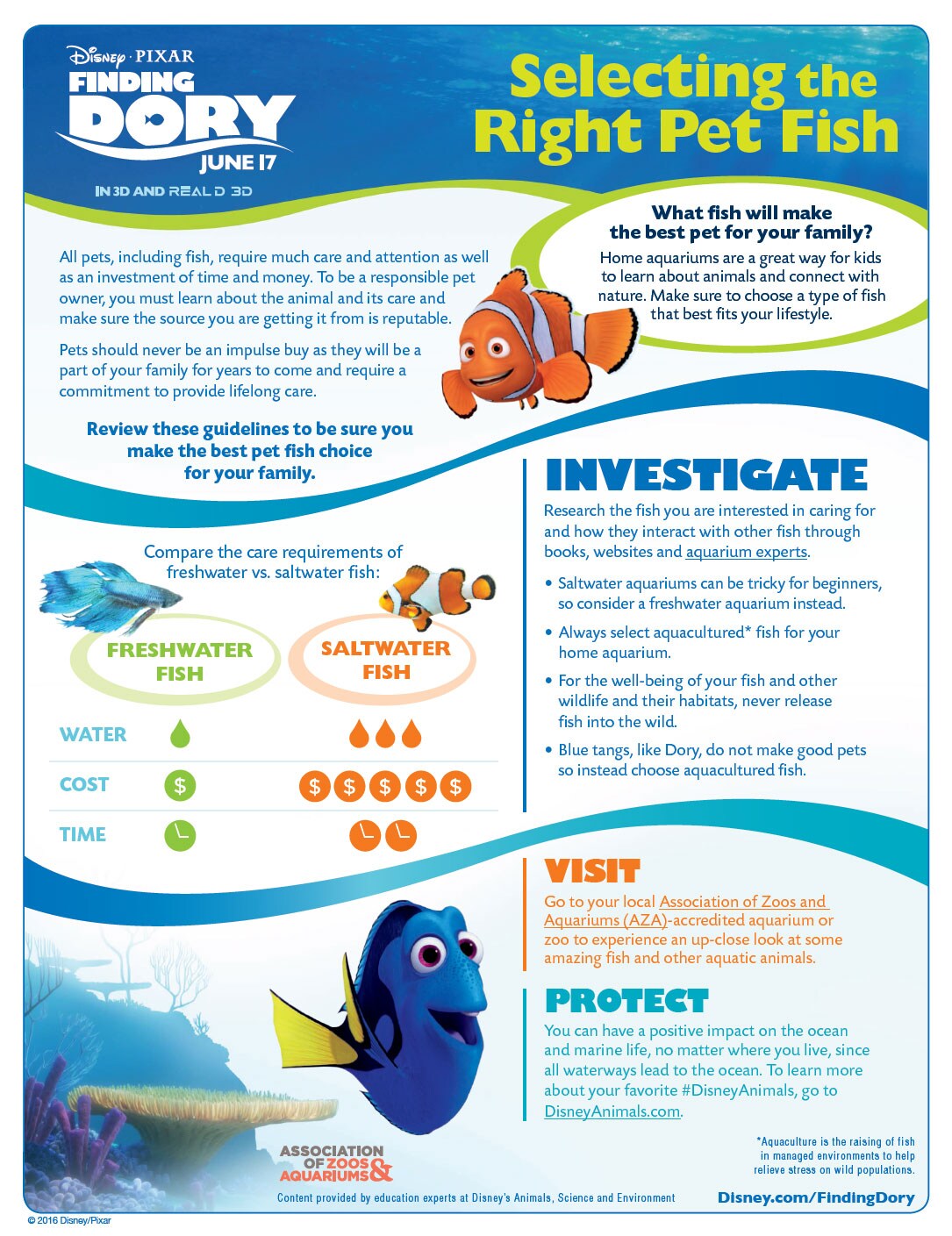 Wildlife Wednesday: Celebrate Speak Like a Whale Day at The Seas with Nemo & Friends June 11