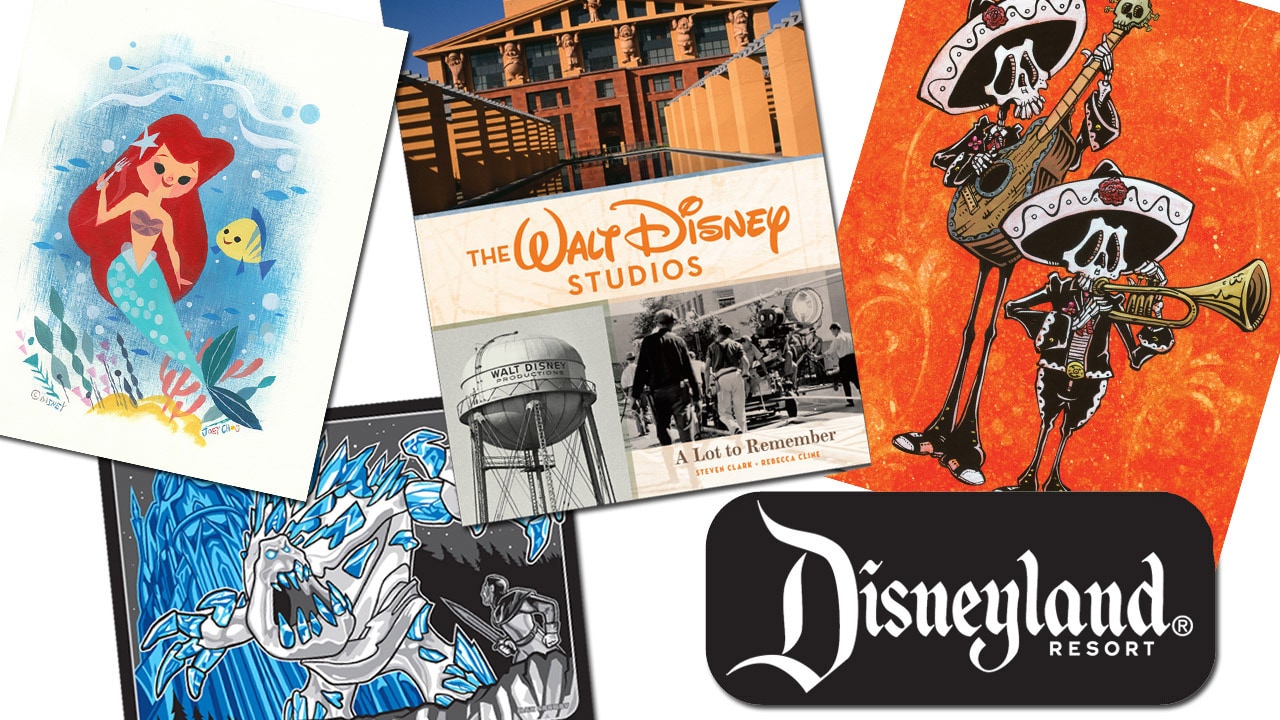 Disneyland Resort Merchandise