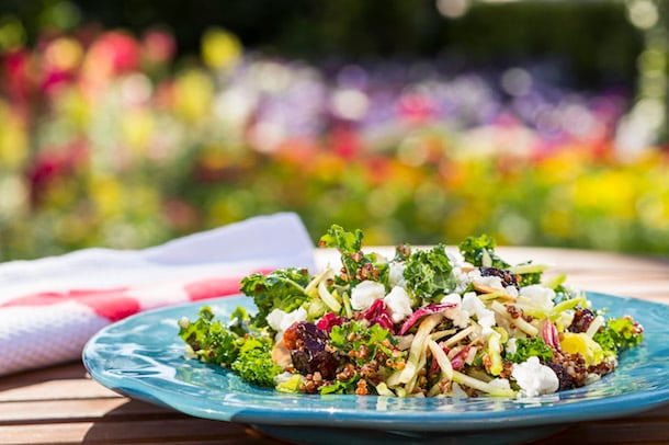Epcot International Flower & Garden Festival Florida Fresh Kale Salad with Dried Cherries, Almonds and Goat Cheese