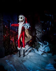 Celebrate Holidays at the Disneyland Resort with Photos from Disney PhotoPass Service