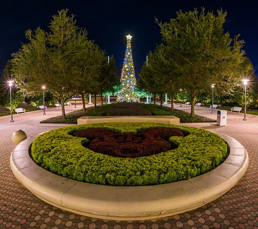Five Photos That Will Make You Want To Visit A Walt Disney World Resort Hotel During The Holidays