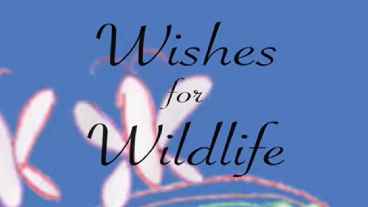 Wildlife Wednesday: Children Share Their Wishes for Wildlife: Butterflies
