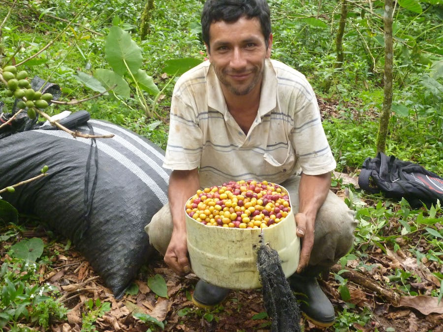 New Coffee Blend Helps Peruvian Communities