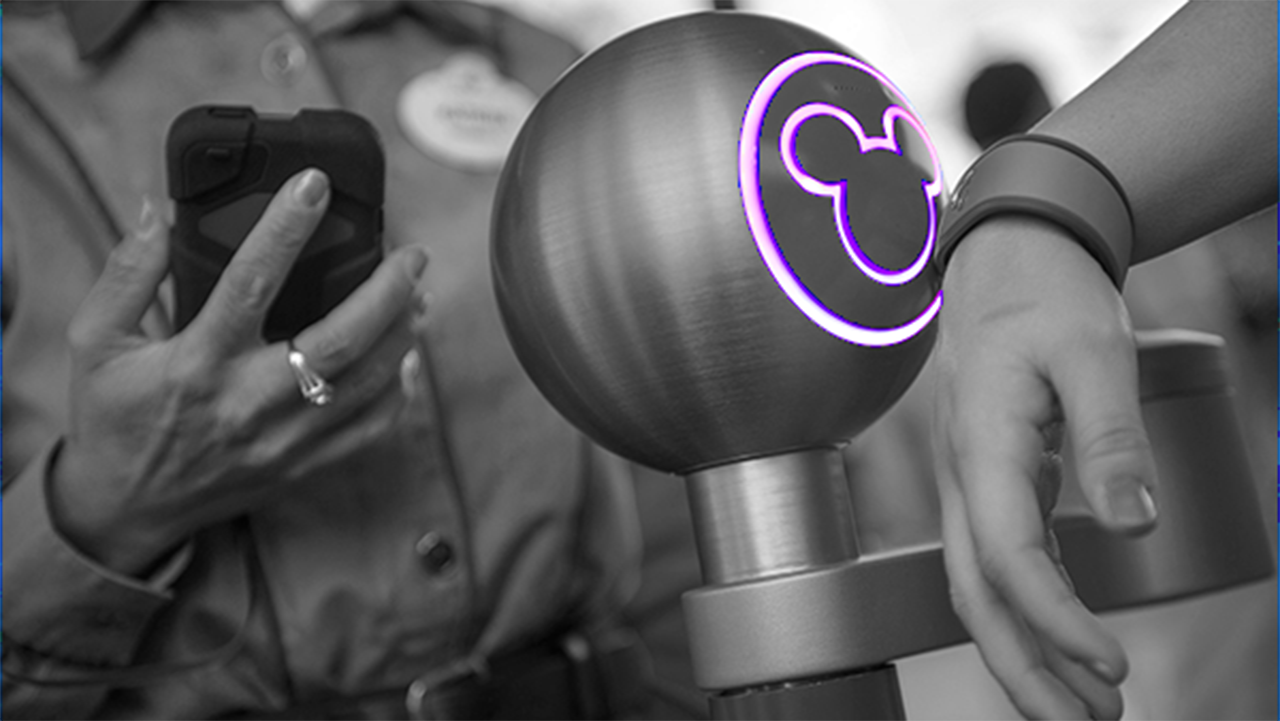 Members&#39; MagicBands Trigger a Unique &#39;Welcome Home&#39; | Disney Parks Blog