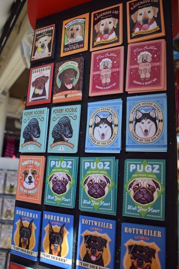 Pamper Your Pet with Fun Finds from Disney Springs