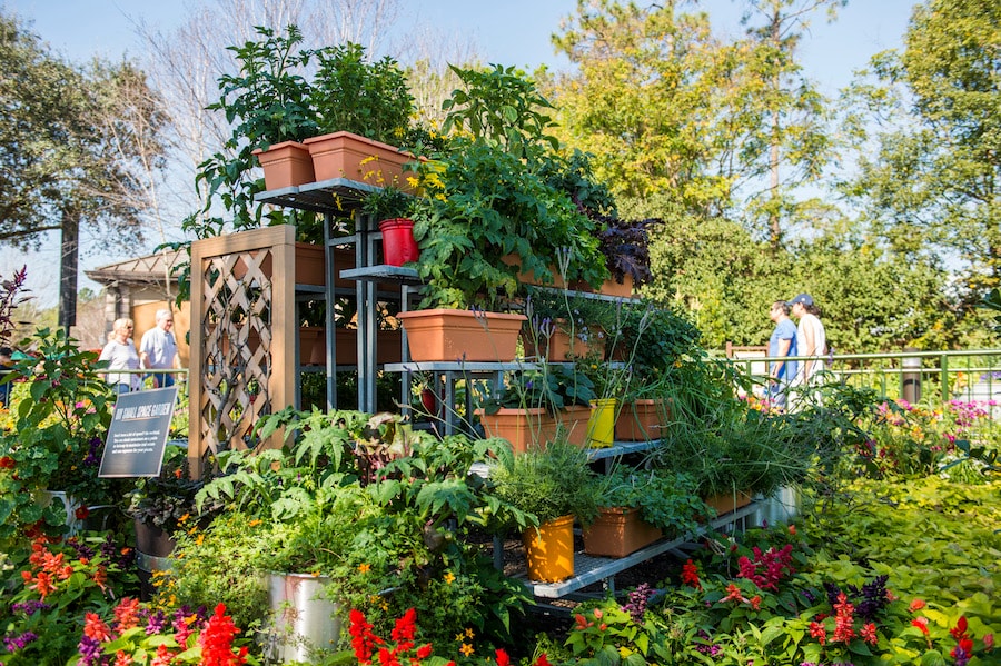 Flower Garden Festival, What Is Urban Container Gardening