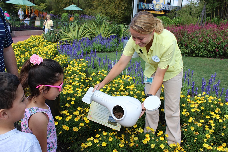 Wildlife Wednesday: Celebrate Earth Month at Disney Parks and Resorts