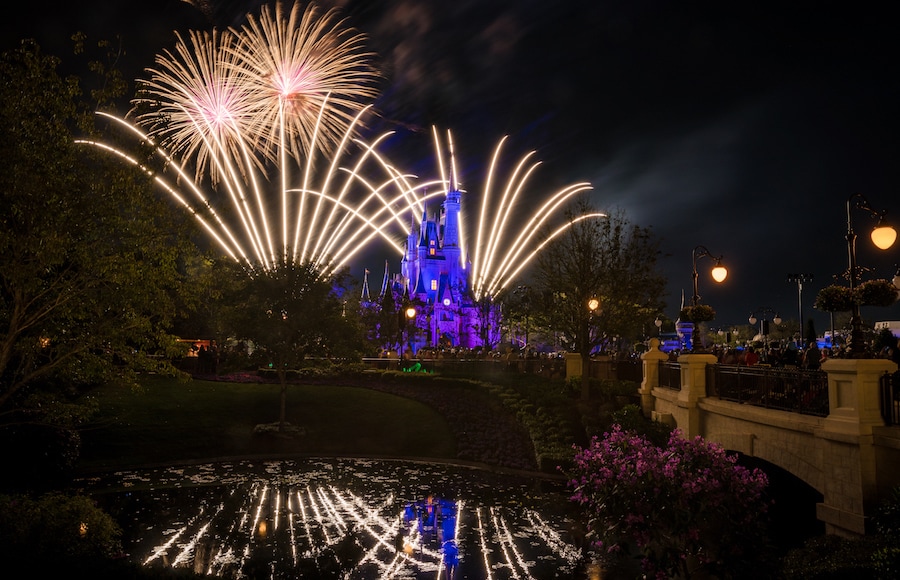Wishes nighttime spectacular