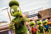 Make The Most of Memory Maker at The Epcot International Flower & Garden Festival - Topiaries